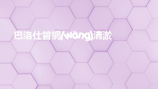 巴洛仕管網(wǎng)清淤設(shè)備，高效清潔，守護(hù)都市水環(huán)境
